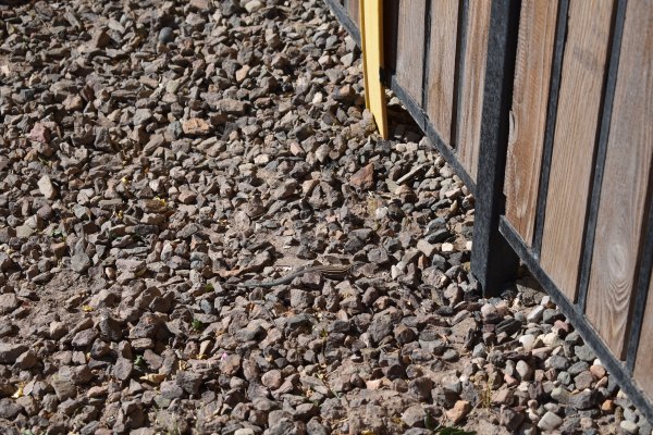 Cryptids, Entities, EVP, Folklore, Ghosts, Haunted, Haunted locations, hunting, Mediums Ghost, Mysteries Supernatural Investigations Paranormal, Occult, Poltergeist, Psychic, s Urban legends, Séance, Spirits, Unexplained