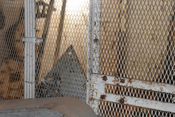 Cryptids, Entities, EVP, Folklore, Ghosts, Haunted, Haunted locations, hunting, Mediums Ghost, Mysteries Supernatural Investigations Paranormal, Occult, Poltergeist, Psychic, s Urban legends, Séance, Spirits, Unexplained