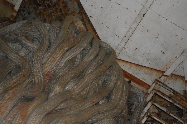 Cryptids, Entities, EVP, Folklore, Ghosts, Haunted, Haunted locations, hunting, Mediums Ghost, Mysteries Supernatural Investigations Paranormal, Occult, Poltergeist, Psychic, s Urban legends, Séance, Spirits, Unexplained