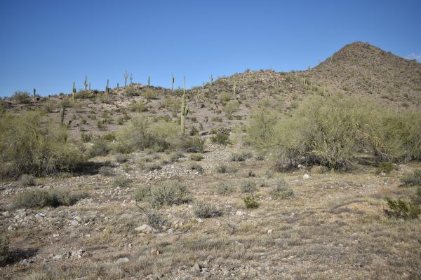 Cryptids, Entities, EVP, Folklore, Ghosts, Haunted, Haunted locations, hunting, Mediums Ghost, Mysteries Supernatural Investigations Paranormal, Occult, Poltergeist, Psychic, s Urban legends, Séance, Spirits, Unexplained