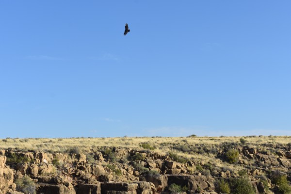 Cryptids, Entities, EVP, Folklore, Ghosts, Haunted, Haunted locations, hunting, Mediums Ghost, Mysteries Supernatural Investigations Paranormal, Occult, Poltergeist, Psychic, s Urban legends, Séance, Spirits, Unexplained