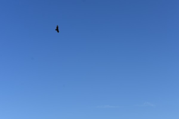 Cryptids, Entities, EVP, Folklore, Ghosts, Haunted, Haunted locations, hunting, Mediums Ghost, Mysteries Supernatural Investigations Paranormal, Occult, Poltergeist, Psychic, s Urban legends, Séance, Spirits, Unexplained