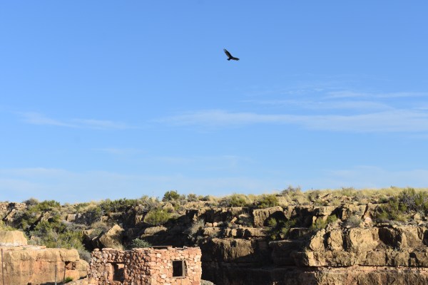 Cryptids, Entities, EVP, Folklore, Ghosts, Haunted, Haunted locations, hunting, Mediums Ghost, Mysteries Supernatural Investigations Paranormal, Occult, Poltergeist, Psychic, s Urban legends, Séance, Spirits, Unexplained