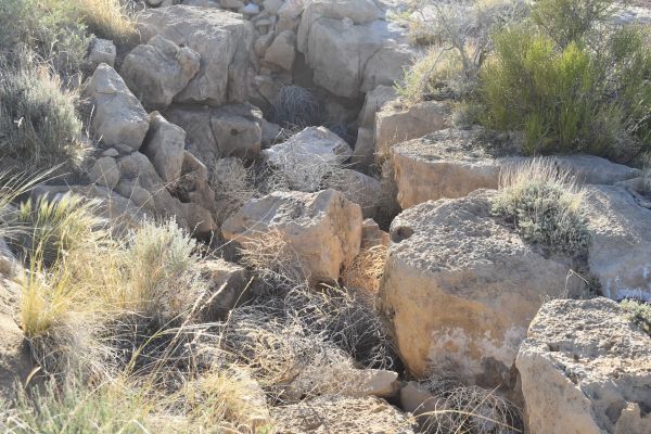 Cryptids, Entities, EVP, Folklore, Ghosts, Haunted, Haunted locations, hunting, Mediums Ghost, Mysteries Supernatural Investigations Paranormal, Occult, Poltergeist, Psychic, s Urban legends, Séance, Spirits, Unexplained