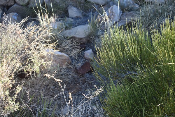 Cryptids, Entities, EVP, Folklore, Ghosts, Haunted, Haunted locations, hunting, Mediums Ghost, Mysteries Supernatural Investigations Paranormal, Occult, Poltergeist, Psychic, s Urban legends, Séance, Spirits, Unexplained