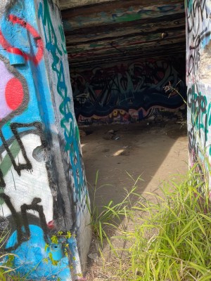 Cryptids, Entities, EVP, Folklore, Ghosts, Haunted, Haunted locations, hunting, Mediums Ghost, Mysteries Supernatural Investigations Paranormal, Occult, Poltergeist, Psychic, s Urban legends, Séance, Spirits, Unexplained