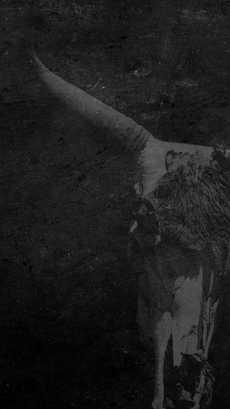 Cryptids, Entities, EVP, Folklore, Ghosts, Haunted, Haunted locations, hunting, Mediums Ghost, Mysteries Supernatural Investigations Paranormal, Occult, Poltergeist, Psychic, s Urban legends, Séance, Spirits, Unexplained