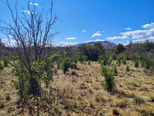 Cryptids, Entities, EVP, Folklore, Ghosts, Haunted, Haunted locations, hunting, Mediums Ghost, Mysteries Supernatural Investigations Paranormal, Occult, Poltergeist, Psychic, s Urban legends, Séance, Spirits, Unexplained