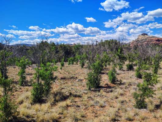 Cryptids, Entities, EVP, Folklore, Ghosts, Haunted, Haunted locations, hunting, Mediums Ghost, Mysteries Supernatural Investigations Paranormal, Occult, Poltergeist, Psychic, s Urban legends, Séance, Spirits, Unexplained