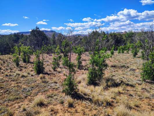 Cryptids, Entities, EVP, Folklore, Ghosts, Haunted, Haunted locations, hunting, Mediums Ghost, Mysteries Supernatural Investigations Paranormal, Occult, Poltergeist, Psychic, s Urban legends, Séance, Spirits, Unexplained