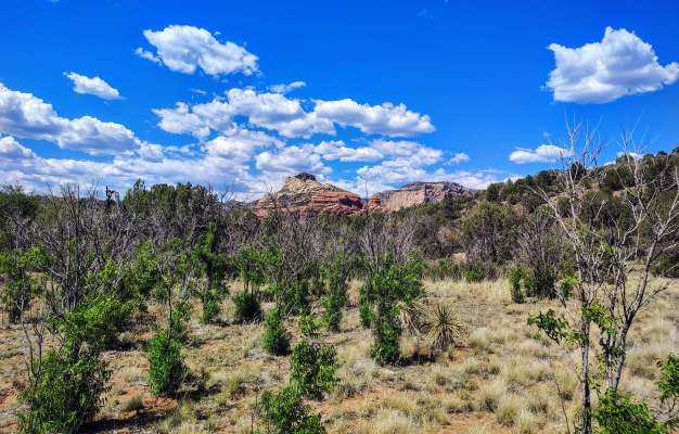 Cryptids, Entities, EVP, Folklore, Ghosts, Haunted, Haunted locations, hunting, Mediums Ghost, Mysteries Supernatural Investigations Paranormal, Occult, Poltergeist, Psychic, s Urban legends, Séance, Spirits, Unexplained