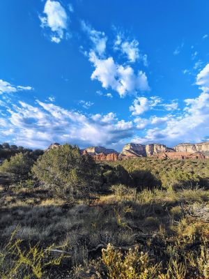 Cryptids, Entities, EVP, Folklore, Ghosts, Haunted, Haunted locations, hunting, Mediums Ghost, Mysteries Supernatural Investigations Paranormal, Occult, Poltergeist, Psychic, s Urban legends, Séance, Spirits, Unexplained