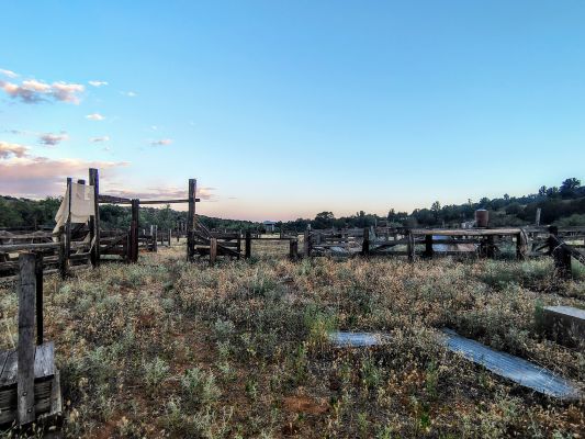 Cryptids, Entities, EVP, Folklore, Ghosts, Haunted, Haunted locations, hunting, Mediums Ghost, Mysteries Supernatural Investigations Paranormal, Occult, Poltergeist, Psychic, s Urban legends, Séance, Spirits, Unexplained